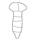 11589075 - Body: Rear Rail Screw for GM Image