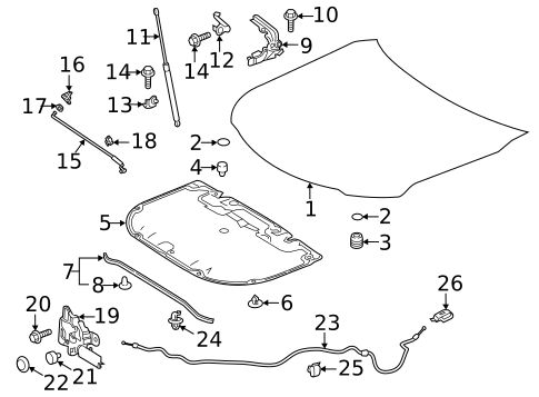 Hood & Components for 2020 Toyota Camry #0