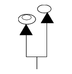 5349750020 - Body: Hinge Pad for Lexus: ES250, ES300, ES300h, ES330, ES350, GS F, GS350, GX460, GX470, GX550, IS F, IS200t, IS250, IS300, IS350, IS500, LC500, LC500h, LS430, LS460, LS500, LS500h, LS600h, LX570, LX600, LX700h, RC F, RC200t, RC300, RC350, RX330, RX350, RX400h, RX450h, SC430 Image