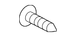 854341008 - Body: Belt Molding Screw for Nissan Image
