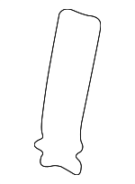 22705921 - Body: Wire for Chevrolet: Cobalt | Pontiac: G5 | Saturn: Ion, Vue Image