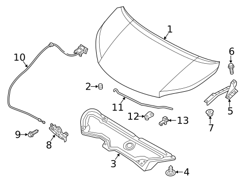 Hood & Components for 2014 Nissan NV200 #0