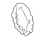 16522856 - Electrical: Igniter Shield for GM Image image