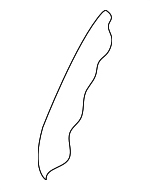 88450B0030 - Body: Seat Back Pad for Kia Image