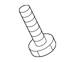 Lower Shaft Bolt