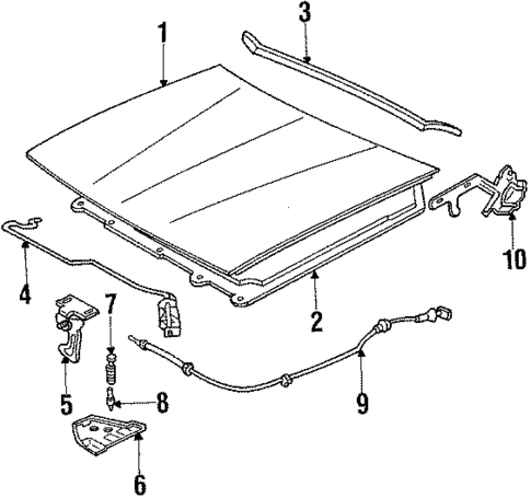 Hood & Components for 1991 Pontiac Sunbird #0