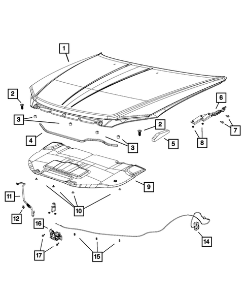 Hood and Hood Release for 2014 Chrysler 200 #0