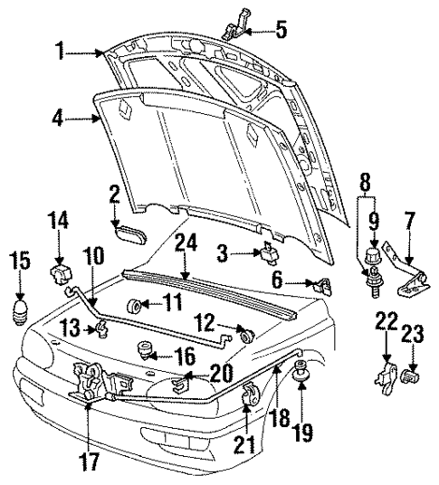 Hood & Components for 1996 Volkswagen Jetta #0