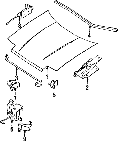 Hood & Components for 1989 Subaru XT #0