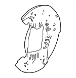 45256TYAA00 - : Splash Shield for Acura Image