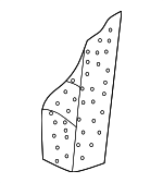 8D5885775A - Body: Seat Back Pad for Audi: A4, A4 Quattro, S4 Image