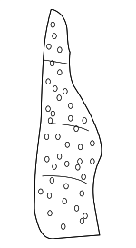 8D5885776 - Body: Seat Back Pad for Audi: A4, A4 Quattro, S4 Image