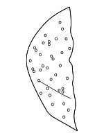 8D0885375D - Body: Pad for Audi: A4, A4 Quattro, S4 Image