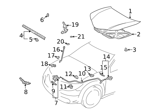 Hood & Components for 2008 Pontiac Vibe #0