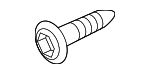 XYP000070 - : Fog Lamp Screw for Land Rover: Range Rover Image