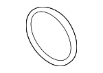 Thermostat Unit O-Ring