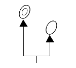 995621000 - Brakes: Brake Hose Seal for Mazda: 3, 6, CX-3, CX-30, CX-5, CX-50, CX-70, CX-9, CX-90, MX-30 EV, MX-5 Miata Image