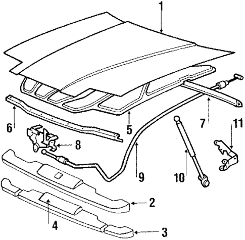 Hood & Components for 1986 Toyota Supra #0