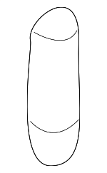 9098114003 - Body: Visor Lamp Bulb for Toyota Image