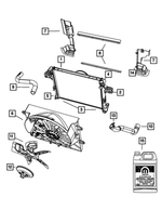 55116870AC - Cooling: Radiator Outlet Hose for Jeep: Commander, Grand Cherokee Image