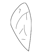 8536085Z10 - Body: Seat Back Pad for Suzuki Image