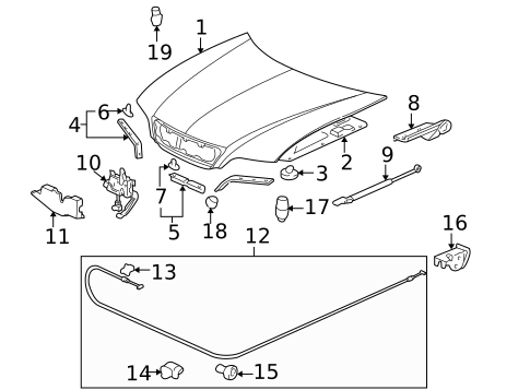 Hood & Components for 2001 Acura RL #0
