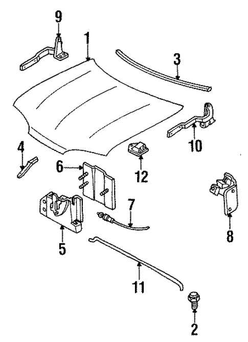 Hood & Components for 1995 Mercury Mystique #0