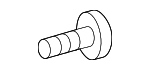 99903804 - Body: Striker Assembly Bolt for Smart Image