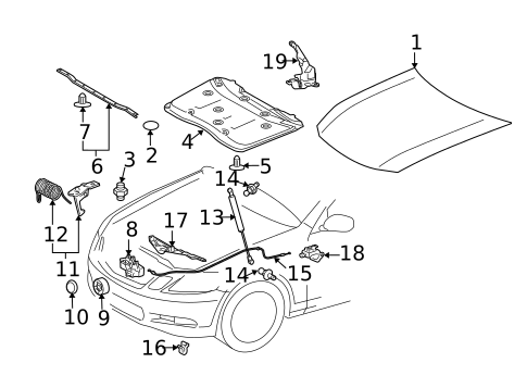 Hood & Components for 2011 Lexus GS350 #0