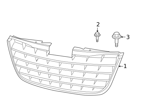 Grille & Components for 2008 Chrysler Town & Country #0