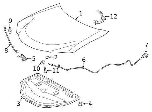 Hood & Components for 2019 Lexus UX200 #0