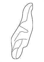 16392013861A26 - Body: Side Cover for Mercedes-Benz Image