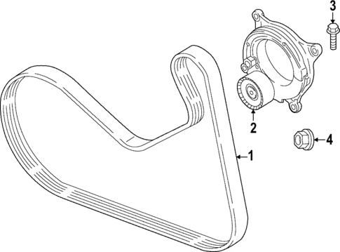 Belts & Pulleys for 2023 BMW 330i #0