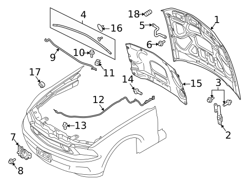 Hood & Components for 2013 Ford Mustang #0