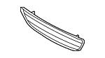 51118045432 - Body: Lower Grille for BMW: 1 Series M, 128i, 135i, 135is Image