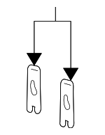 16516180 - Electrical: Headlight Fastener Clip for GM Image