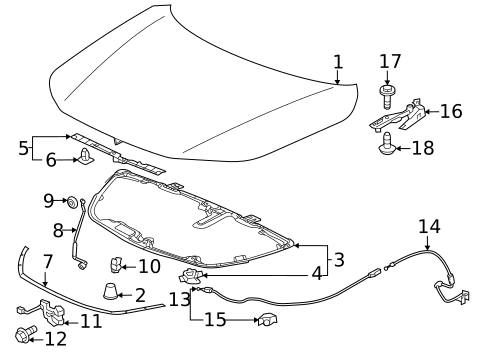 Hood & Components for 2023 Acura Integra #0