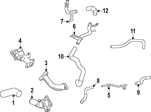 Hoses & Lines for 2023 Toyota Sequoia #0