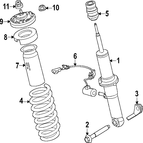 Shocks & Components for 2024 Ford Bronco #1