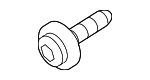 Headlamp Assembly Bolt
