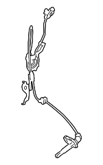 8954242090 - Brakes: ABS Sensor for Subaru: Solterra Image