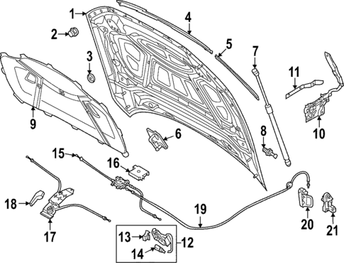 Hood & Components for 2021 Audi RS7 Sportback #0