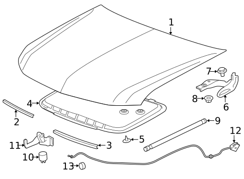 Hood & Components for 2021 Chevrolet Colorado #0
