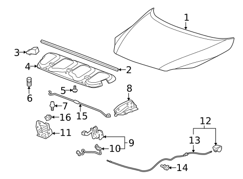 Hood & Components for 2007 Chevrolet Uplander #0