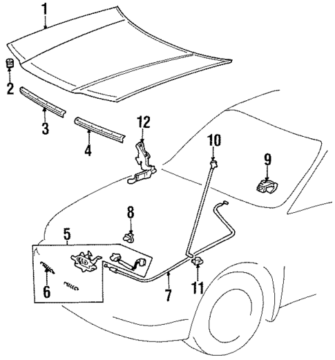 Hood & Components for 1998 Toyota Tercel #0