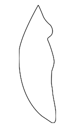 883504Z010 - Body: Seat Back Pad for Hyundai Image