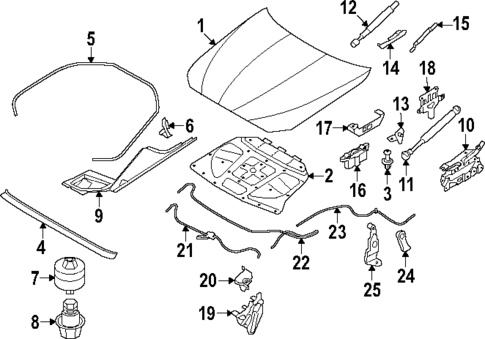 Hood & Components for 2016 BMW 535i xDrive #0