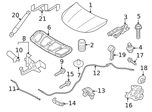 Hood & Components for 2024 Kia Sorento #1
