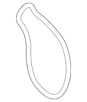 1627137030 - Cooling System: Water Pump Gasket for Toyota Image