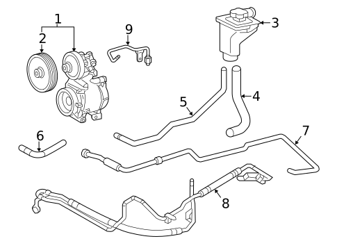 Pump & Hoses for 2000 Lincoln LS #0